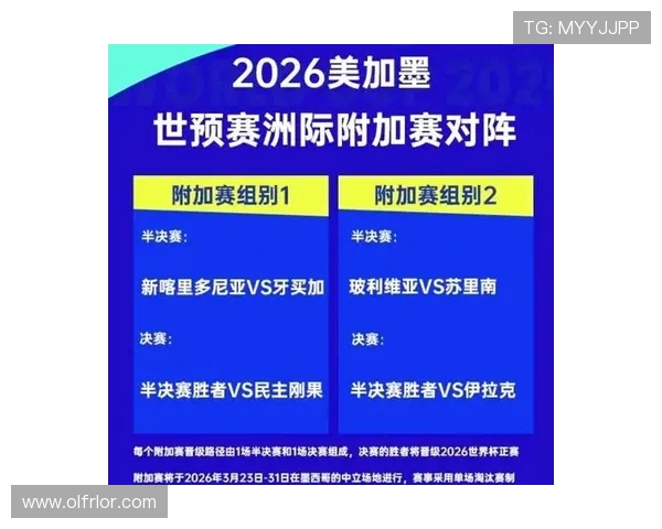 2026世界杯F组小组赛汇总：排名、赛果与晋级名单整理